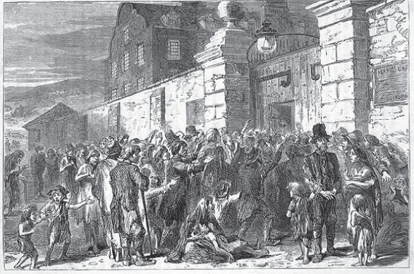 the great potato famine essay the great potato famine essay