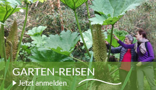 Sliderserie_320x185px-gartenreisen.jpg