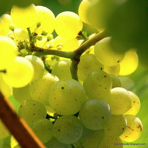 Wein in Irland