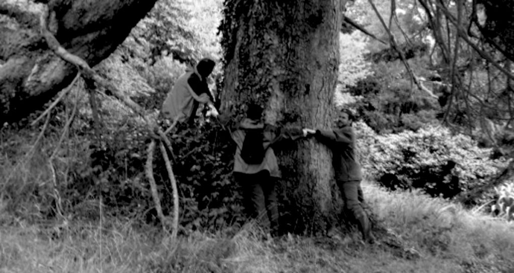 Alles hat ein Ende. Umarmen wir jeden Tag einen Baum.