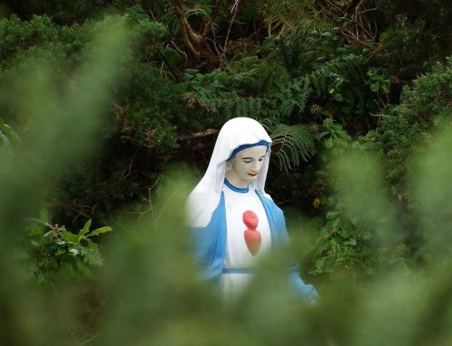 Irland TV-Tipp: Die rätselhafte Statue der Jungfrau Maria