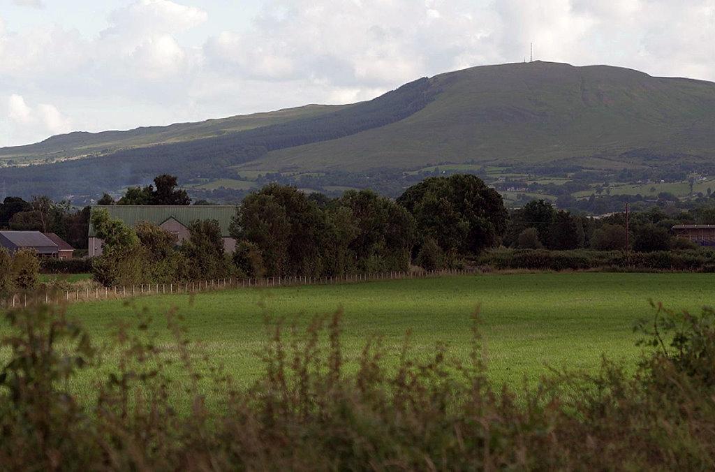 Irlandnews Irland TV-Tipp Ulster Seamus Heany