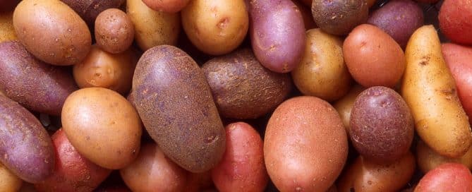 Kartoffeln Irland