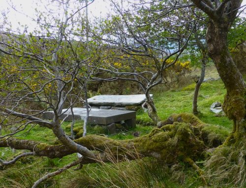 Die stillen Orte Irlands: Der aufgelassene Friedhof von Dugort