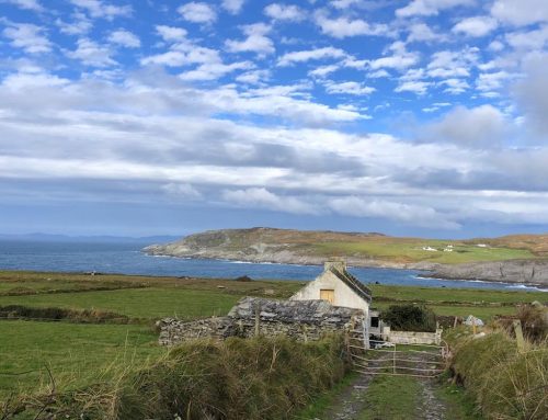 Ein Frühling am Atlantik: Eine Zeitlang zur Probe  in Irland leben